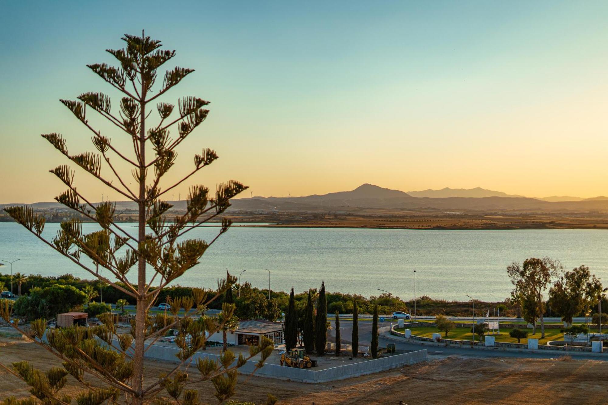 Majestic Sunset Salt Lake Views 300M From Beach Larnaca Dış mekan fotoğraf